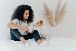 Horizontal shot of happy Afro American woman spends leisure time with dog, feels comfort, poses on bed with white bedclothes. Jack rusell terrier smells aromatic drink from mug, sits near owner photo