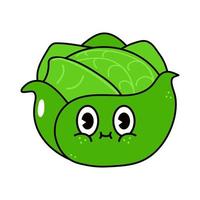 Cute funny cabbage character. Vector hand drawn traditional cartoon vintage, retro, kawaii character illustration icon. Isolated on white background. cabbage character concept