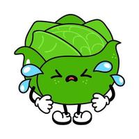 Cute funny crying sad cabbage character. Vector hand drawn traditional cartoon vintage, retro, kawaii character illustration icon. Isolated on white background. Cry cabbage character concept