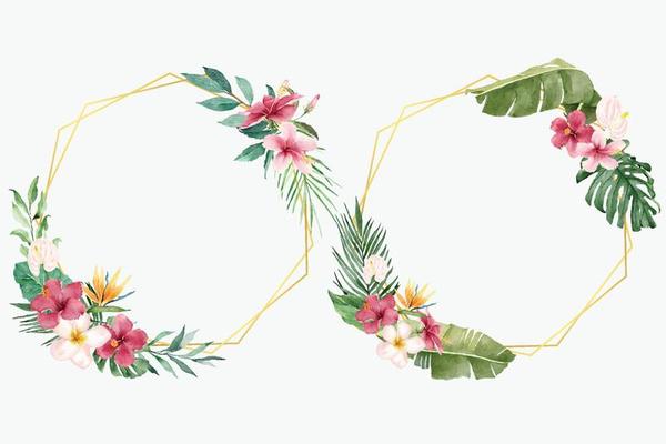 Tropical Flowers with Geometric Golden Frames