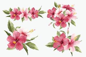 Watercolor Tropical Hibiscus Flower Bouquets vector