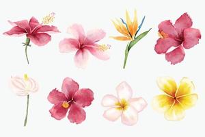 hermosa colección de flores tropicales de acuarela vector