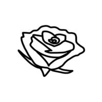 Rose Flower Valentine Wedding Celebrate Hand drawn organic line Doodle vector
