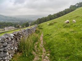 beautiful landescape with footpath, stone wall  and meadow photo