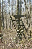 shot of the wooden ladder stand for hunting in the forest photo