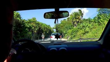 Tulum Mexico 02. February 2022 Typical colorful street road traffic cars palms of Tulum Mexico. video