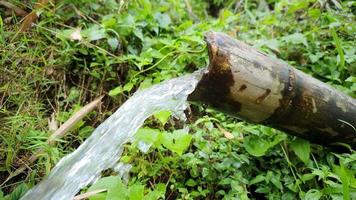 filmati della sorgente d'acqua attraverso il bambù nelle zone rurali. acqua naturale. dossier 4 video