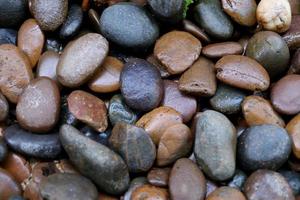 Variedad de rocas húmedas de colores. foto