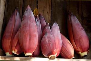 Top view of young banana blossom pile in dark brown wood box, Thailand. photo