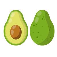 Avocado. Green fruit set. Whole and half in section. Healthy food and diet vector