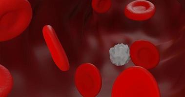 Red blood cells clot. Scientific and medical abstract concept. Transfer of important elements in the blood to protect the body, 3d illustration video