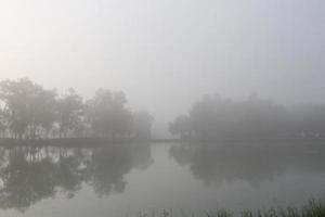 Trees and reflect on water in swamp in the morning,Thailand. Fog cover above the mash. photo