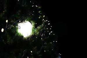 Light ball is on branch of artificial pine tree at night and black background. photo