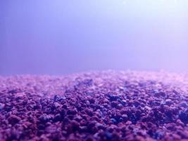 simple aquarium components of gravel and lamp light photo