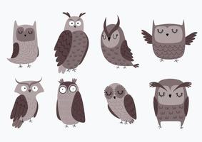 Vector set of different owls