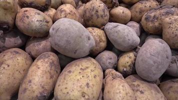 pilha de batatas frescas