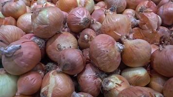 Pile of Fresh Onion video