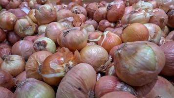 Pile of Fresh Onion video