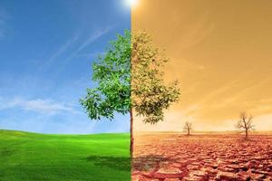 landscape with dry earth, Meadow Global warming concept. photo