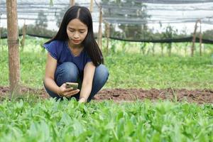 Asian woman wearing white shirt happy in the vegetable garden