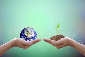 Human hand holding  tree and world on blurred nature background.World environment day. photo