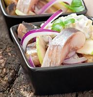 Herring salad with onion and green apple photo