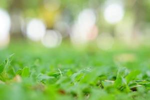 Blur circle bokeh green leaf background. Blurry yellow leaves rays light flare nature backdrop. photo