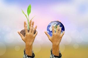 Human hand holding  tree and world on blurred nature background.World environment day. photo