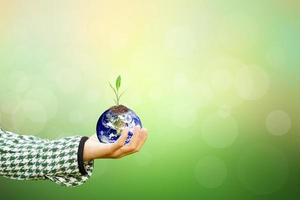 Human hand holding  tree and world on blurred nature background.World environment day. photo