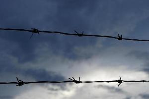 barbed wire black sky background photo