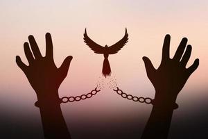 Freedom concept. The shadow of a pigeon is released from the chains that bind human arms. golden sun background in the morning photo