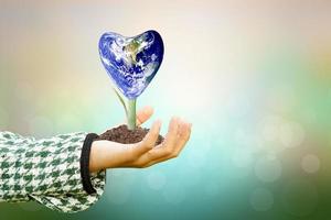 Human hand holding  tree and world on blurred nature background.World environment day. photo