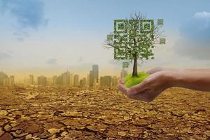 Hands holding dead tree shaped like qrcore in the dry forest and city background. Technology , Business and Nature Concept. photo