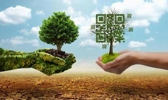 Green hands holding tree growing and holding dead tree shaped like qrcore in the dry forest background. Technology , Business and Nature Concept. photo