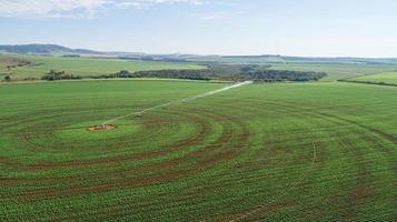 sistema de riego agrícola en un día soleado de verano. una vista aérea de un sistema de rociadores de pivote central. foto