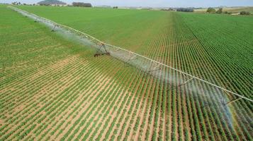 sistema de riego agrícola en un día soleado de verano. una vista aérea de un sistema de rociadores de pivote central. foto