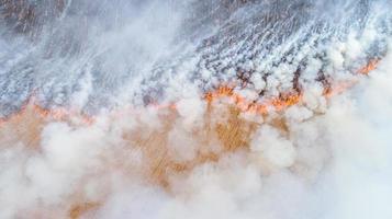 quemaduras de hierba seca, desastre natural. vista aérea. un gran campo quemado cubierto de hollín negro. gran humo de los lugares en llamas. Brasil. plantación de caña de azúcar. foto