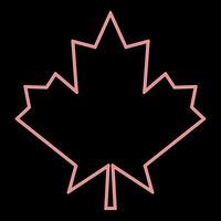 Neon maple leaf the red color vector illustration flat style image