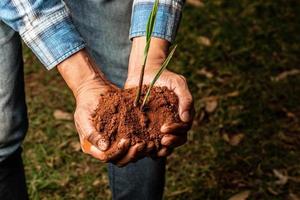 manos de un joven agricultor sosteniendo una planta joven verde. símbolo del concepto de primavera y ecología foto