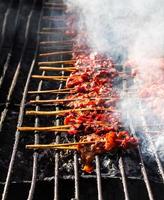 Chicken skewers in smoke photo