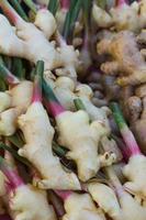 Ginger and galangal pile sale photo