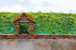 Leaves covered brick photo