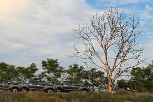 Los aparcamientos apilados cerca de los árboles mueren. foto