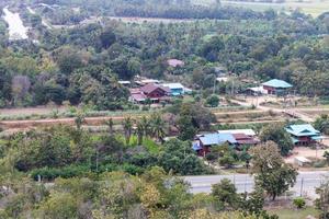 Houses among the trees. photo