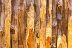 Polished wood walls. photo