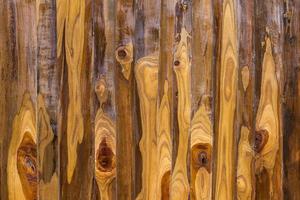 Polished wood walls. photo