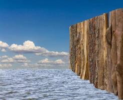 Fence bark on the surface of the water. photo