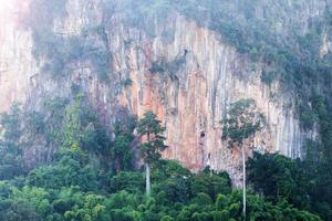 Trees adjacent cliff. photo