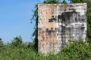 Concrete rectangle with ivy. photo