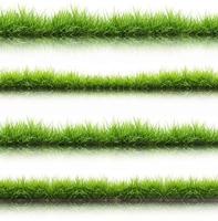 hierba verde de manantial fresca aislada con reflejo de agua foto